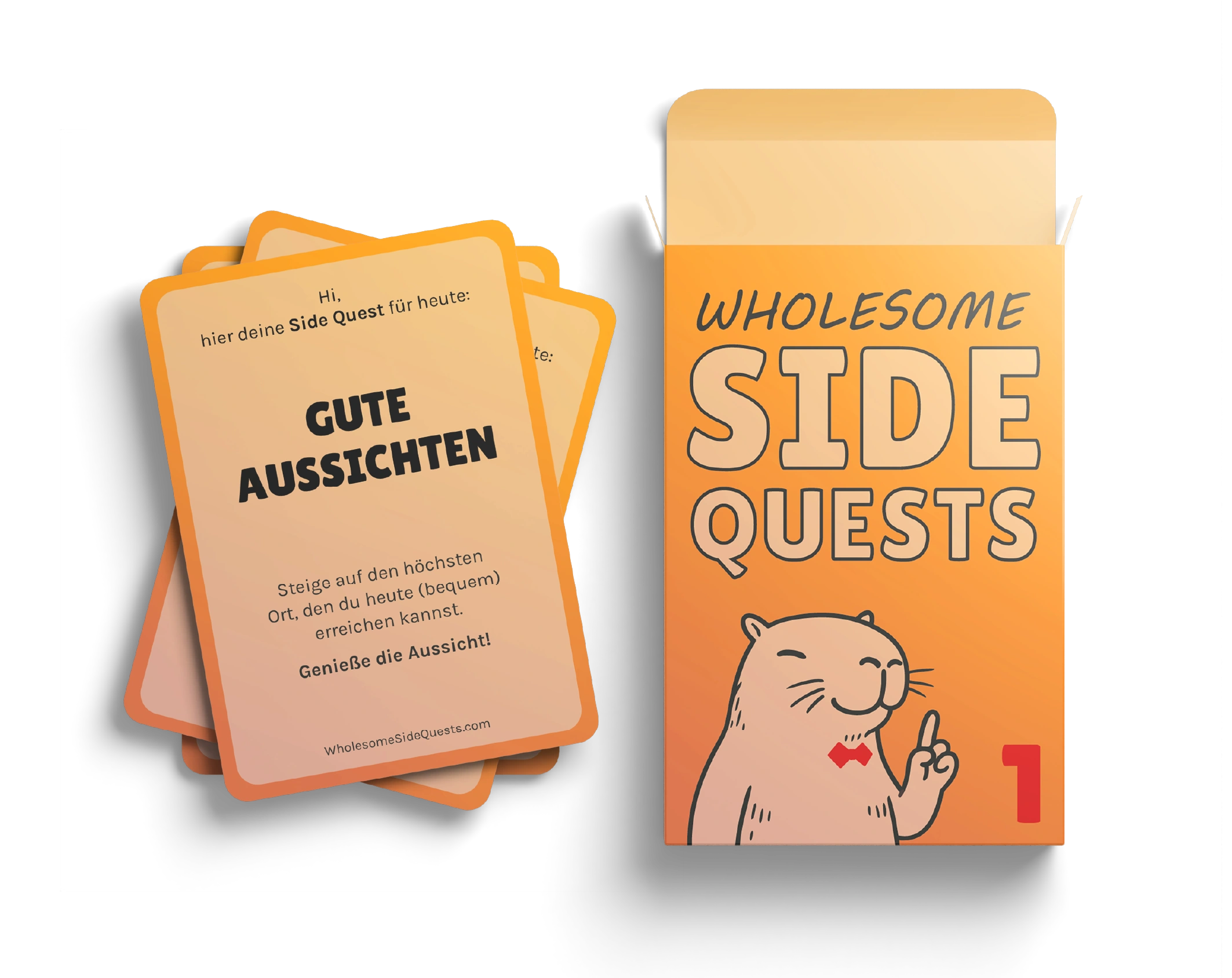 Verpackung Wholesome Side Quests