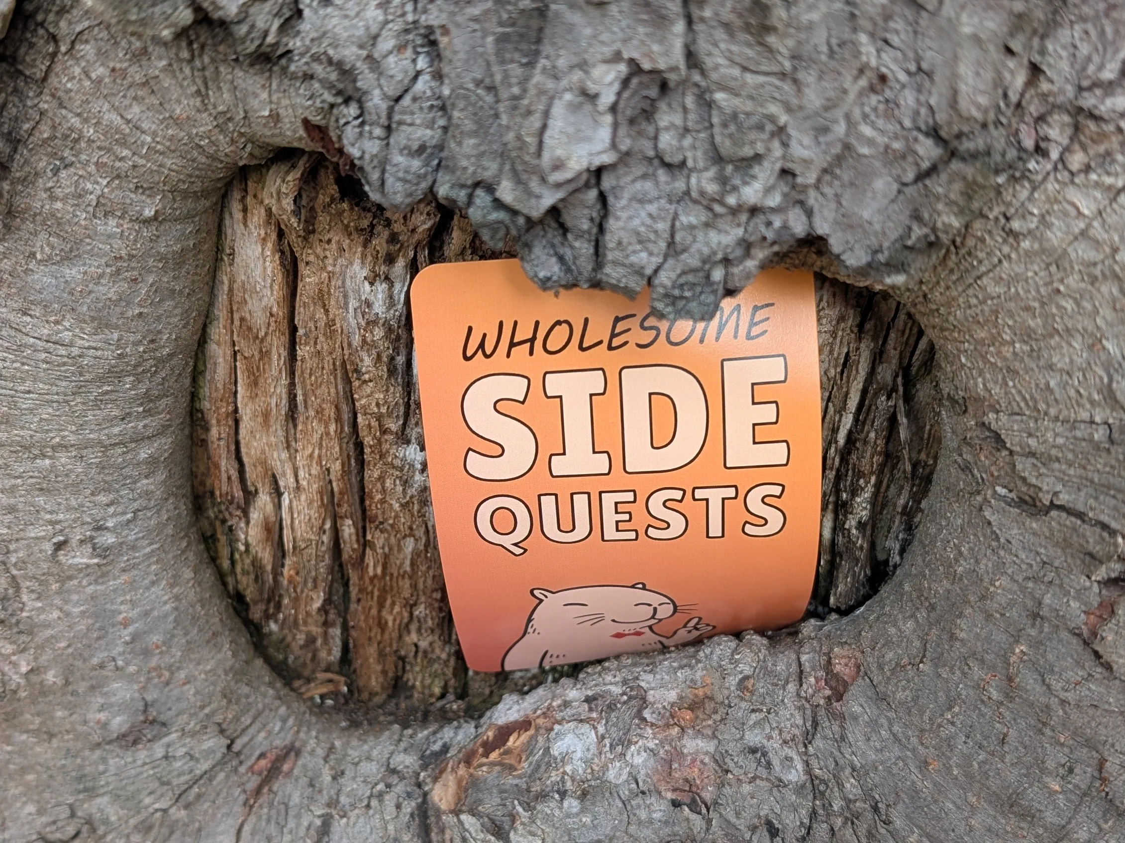 Wholesome Side Quest Karte im öffentlichen Raum.